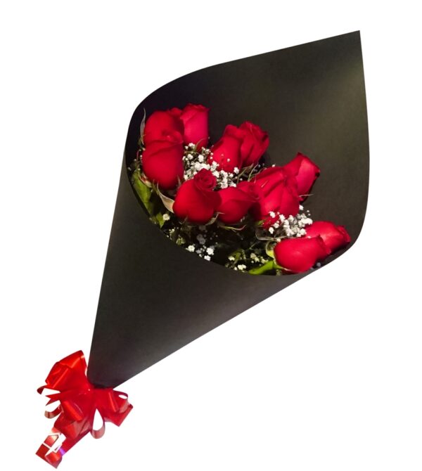Amor y Romance 19