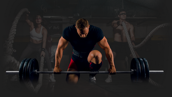 New study reveals optimal dosage for Clenox Malay Tiger, improving effectiveness and safety